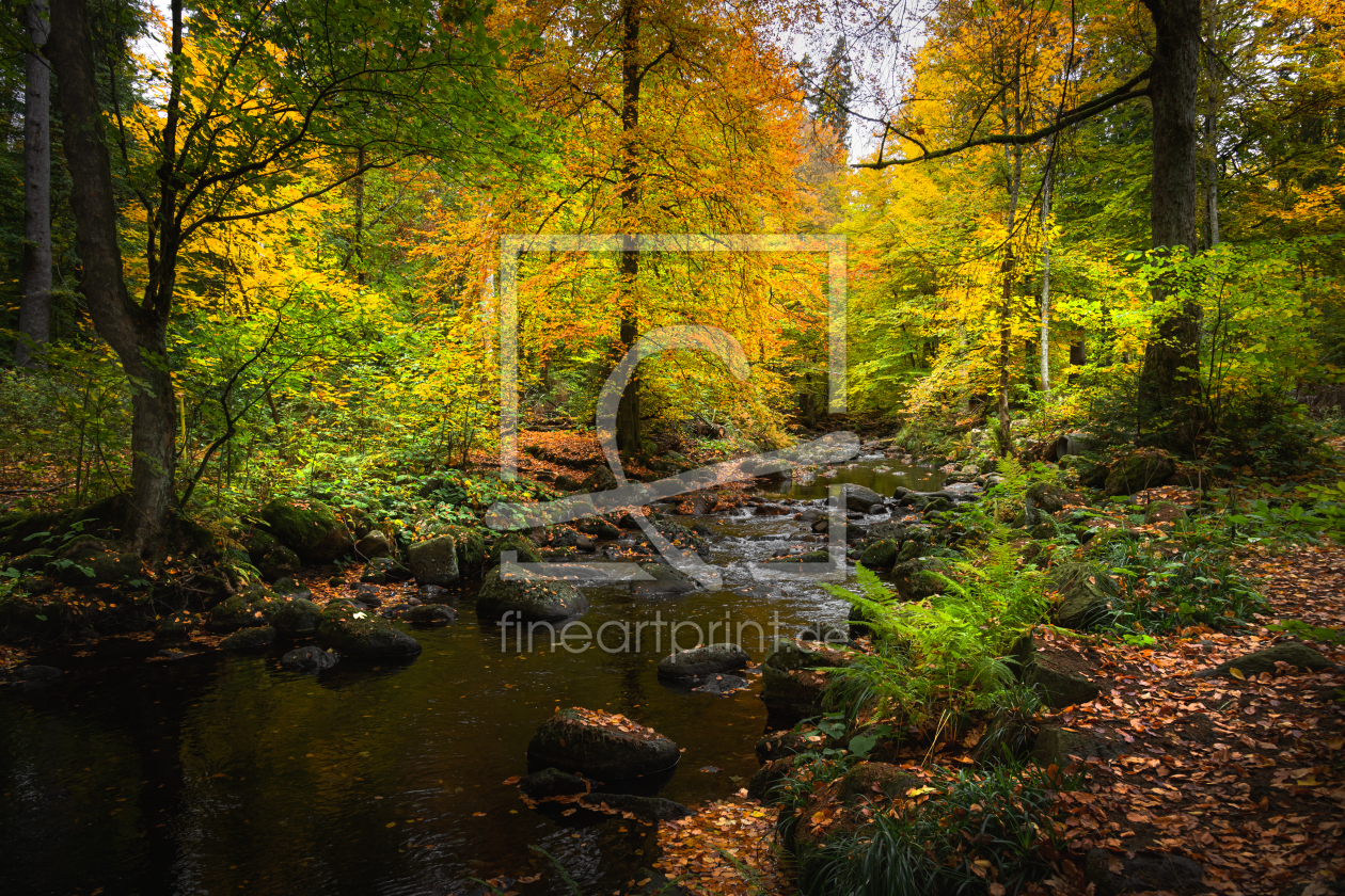 Bild-Nr.: 12638368 Herbststimmung an der Bode erstellt von Steffen Gierok
