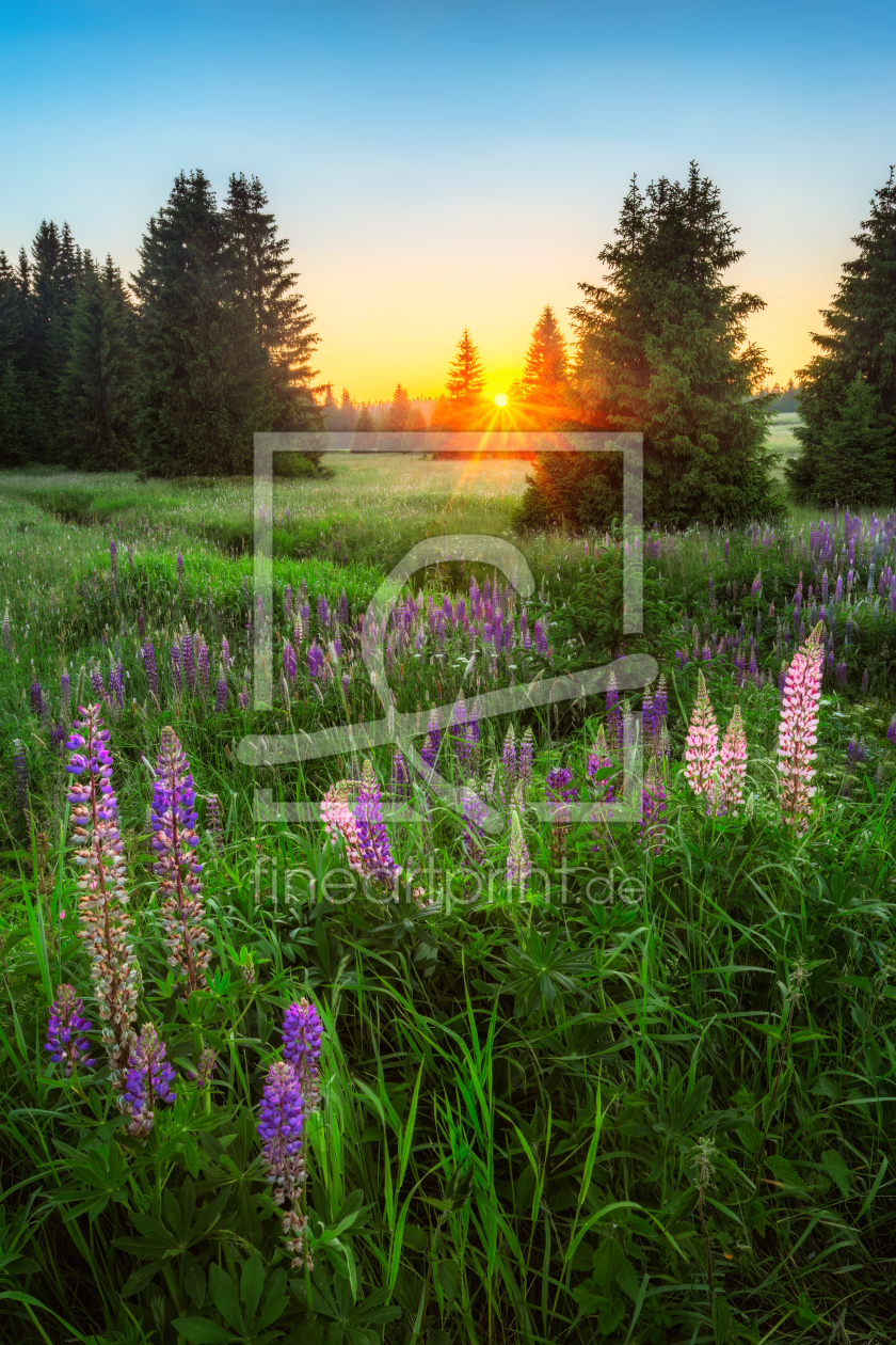 Bild-Nr.: 12674195 Sommerabend im Erzgebirge erstellt von Daniela Beyer