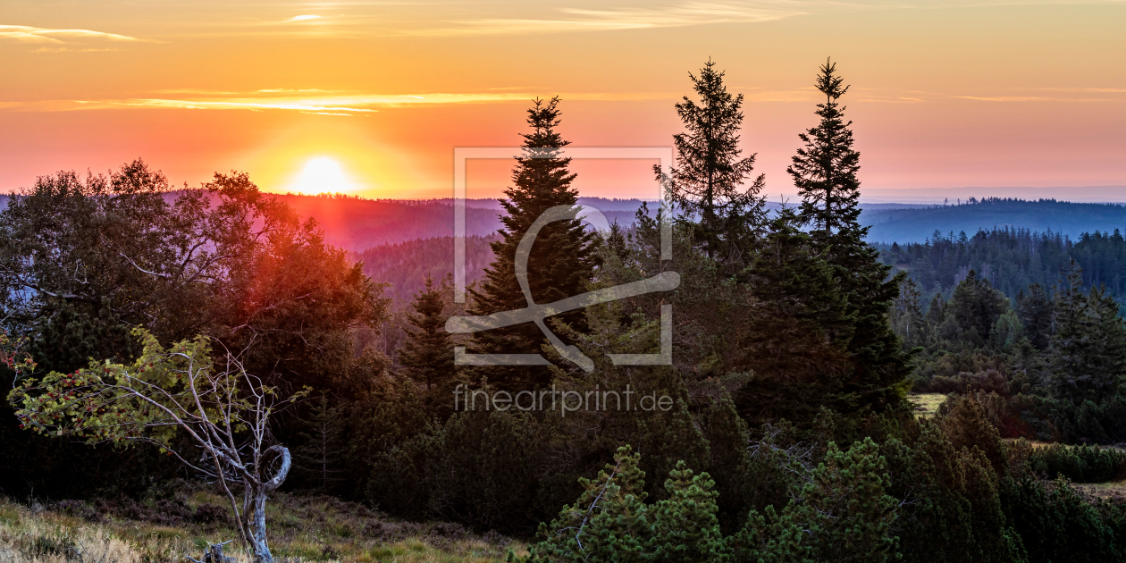 Bild-Nr.: 12677505 Sonnenaufgang im Schwarzwald beim Schliffkopf   erstellt von dieterich