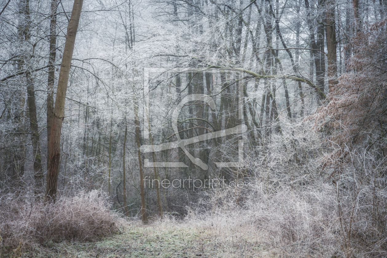 Bild-Nr.: 12687616 Frost in der Natur erstellt von luxpediation