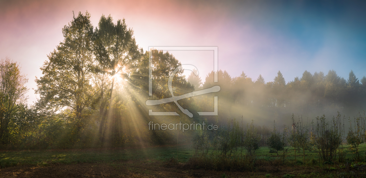 Bild-Nr.: 12691808 Sonnenstrahlen am Morgen erstellt von Smileus