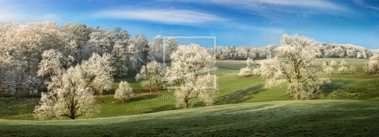 Bild-Nr.: 12691817 Alte Bäume im Winter auf grünen gefrorenen Hügeln erstellt von Smileus