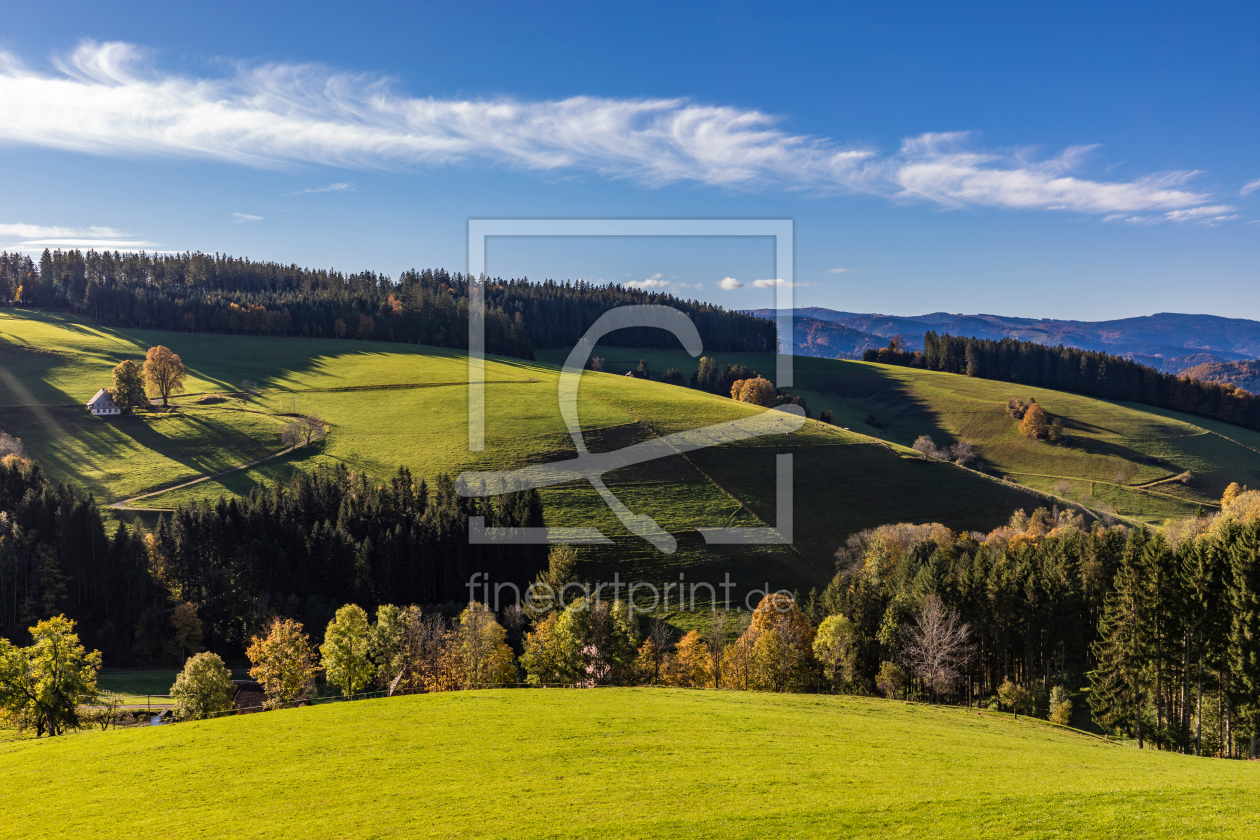 Bild-Nr.: 12699672 Schwarzwald bei Sankt Peter im Herbst  erstellt von dieterich