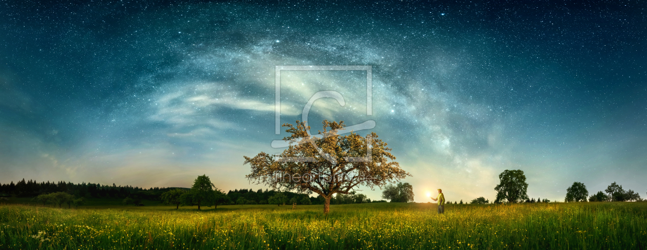 Bild-Nr.: 12704658 Nachtlandschaft mit Baum unter Milchstraße erstellt von Smileus