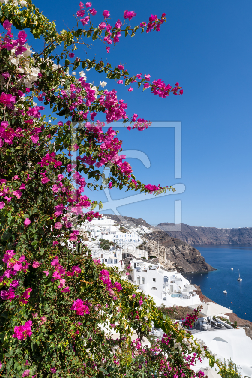 Bild-Nr.: 12712858 Bougainvillea Blüte in Oia erstellt von eyetronic