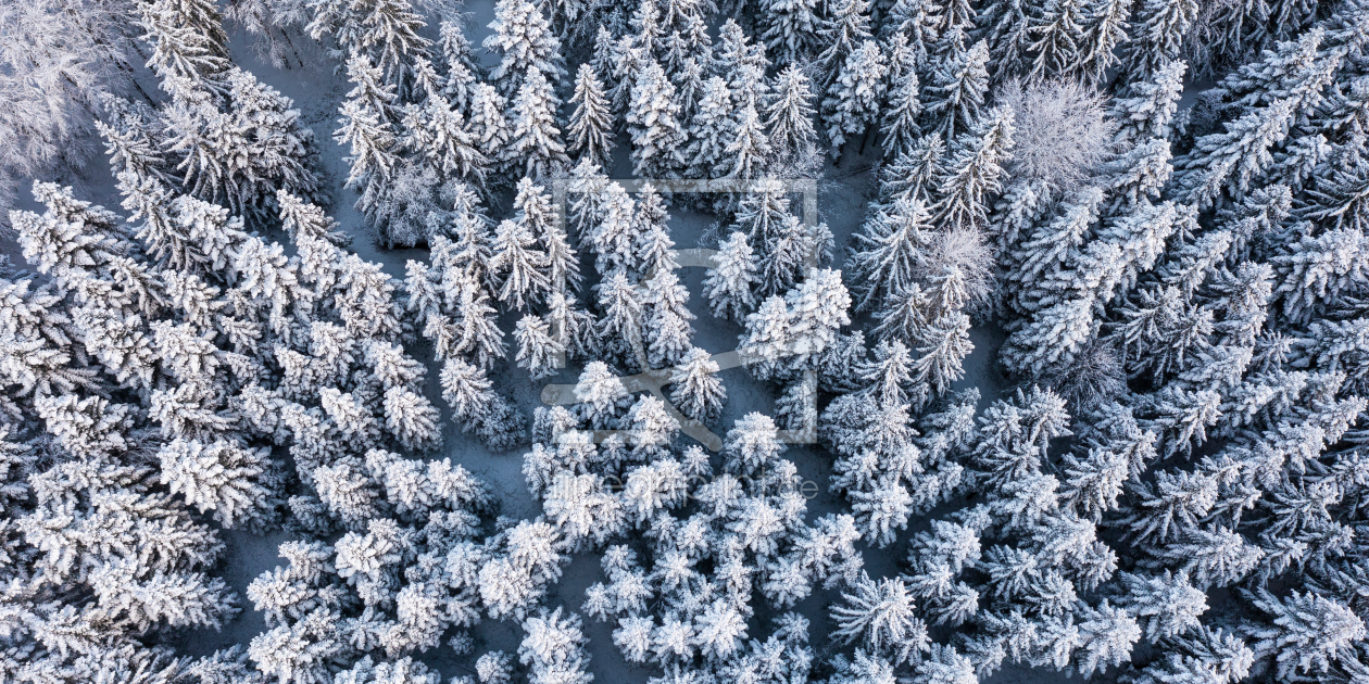 Bild-Nr.: 12722580 Luftbild Schwarzwald im Winter erstellt von dieterich