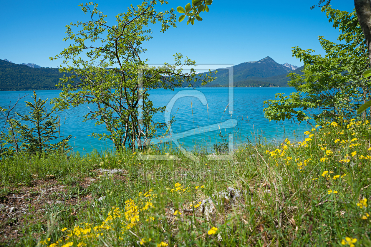 Bild-Nr.: 12728494 Walchenseesommer erstellt von SusaZoom