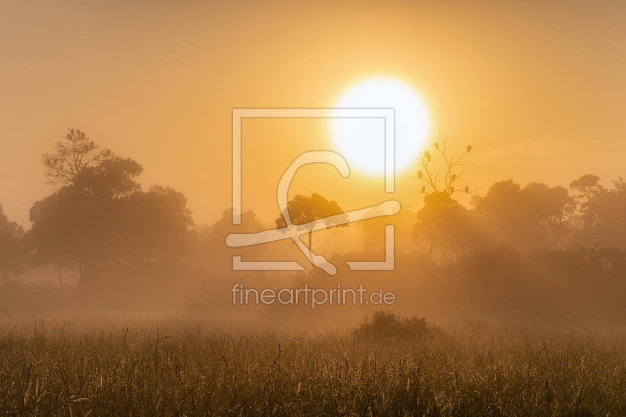 Bild-Nr.: 12734953 Sonnenaufgang in der Masai Mara erstellt von eyetronic