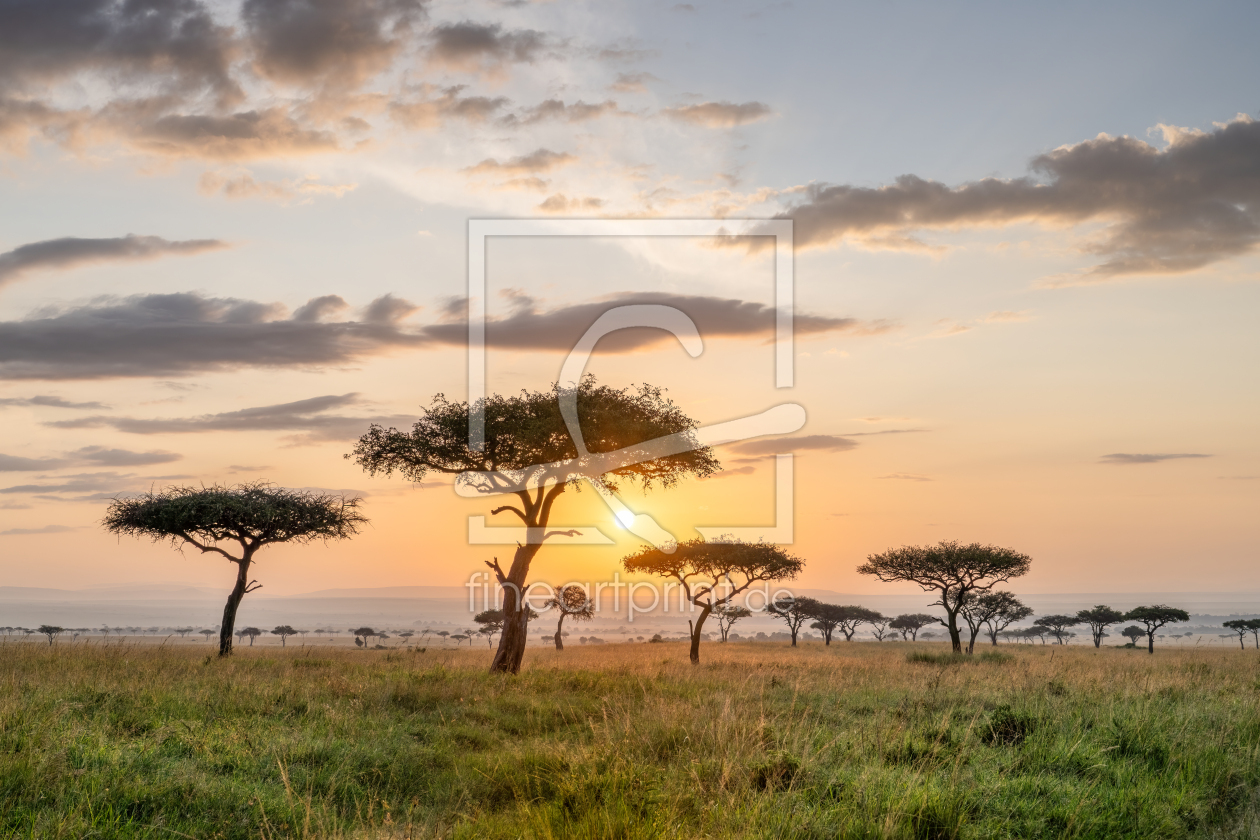 Bild-Nr.: 12735242 Sonnenaufgang in der Masai Mara in Kenia erstellt von eyetronic