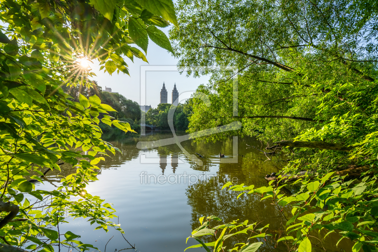 Bild-Nr.: 12735595 New York Central Park im Sommer erstellt von eyetronic