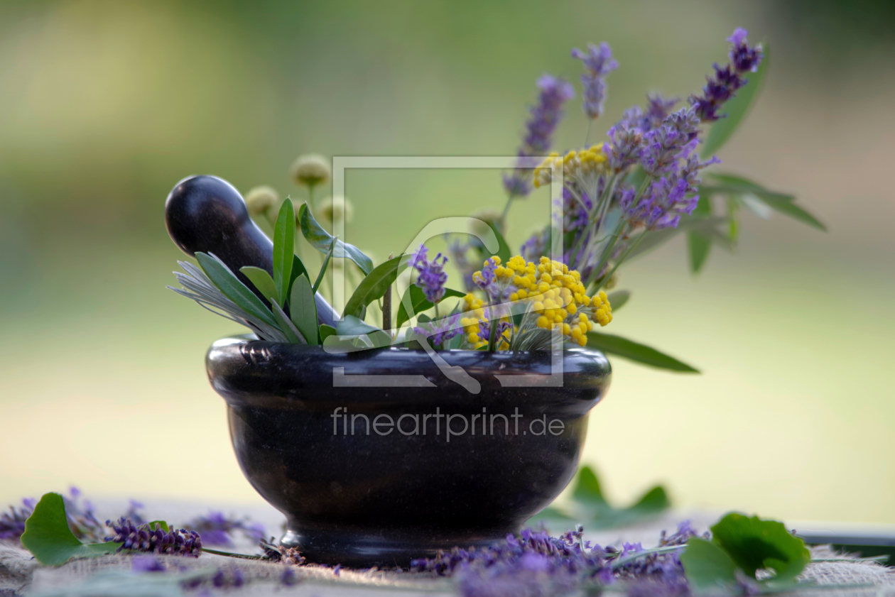 Bild-Nr.: 12738896 Sommer Kräuter Mix aus dem Garten erstellt von Tanja Riedel