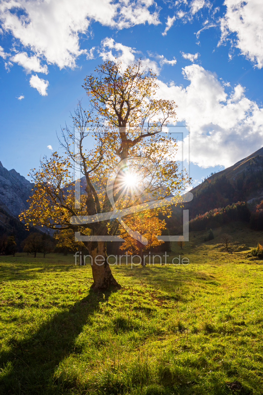 Bild-Nr.: 12741582 Goldene Abendsonne am Ahornboden erstellt von SusaZoom