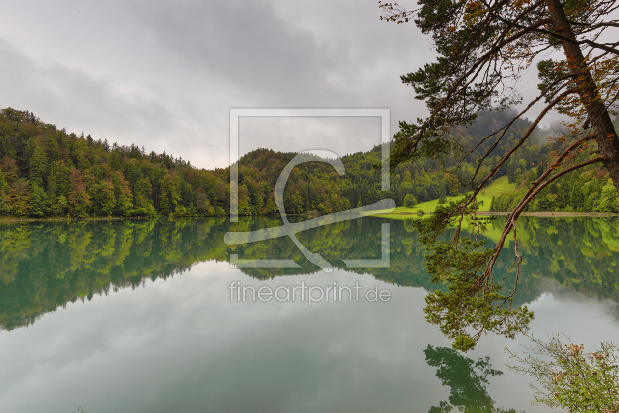 Bild-Nr.: 12741633 Alatsee erstellt von Walter G. Allgöwer