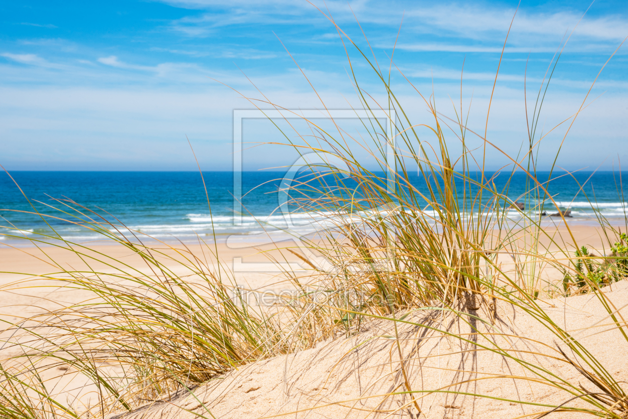 Bild-Nr.: 12741776 Sanddünen am Meer erstellt von SusaZoom