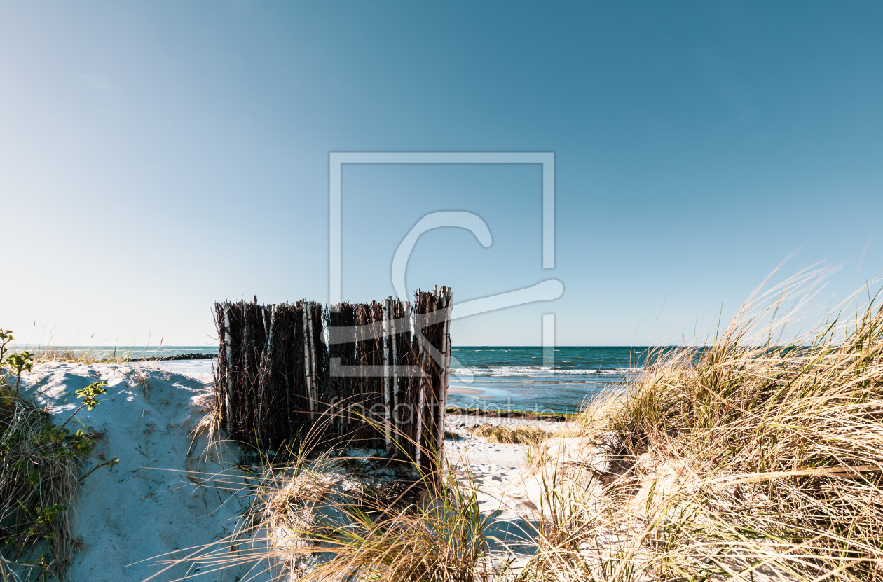 Bild-Nr.: 12747898 Dünen am Ostseestrand   erstellt von Ursula Reins