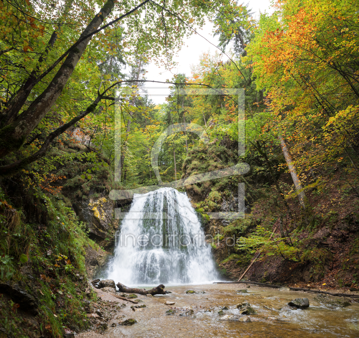 Bild-Nr.: 12748146 Herbst am Josefstaler Wasserfall erstellt von SusaZoom