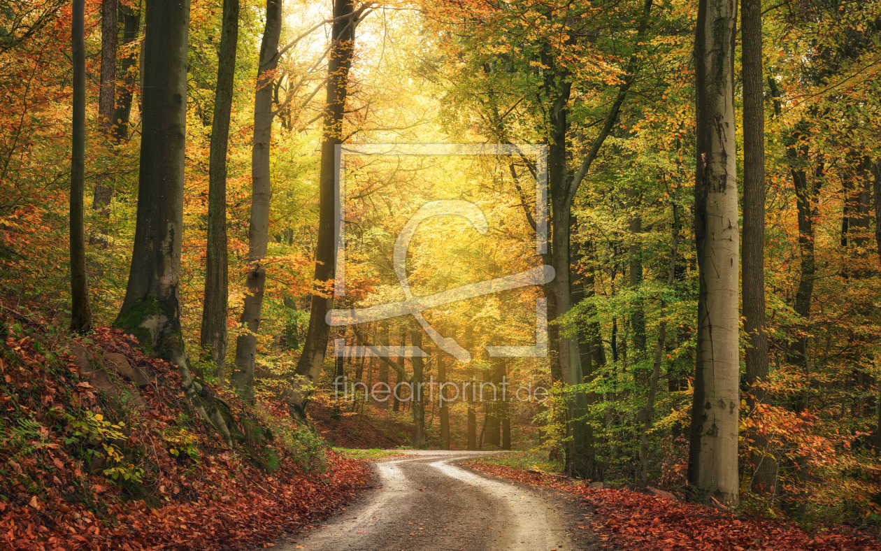 Bild-Nr.: 12749724 Ruhige Herbstlandschaft in einem farbenfrohen Wald erstellt von Smileus