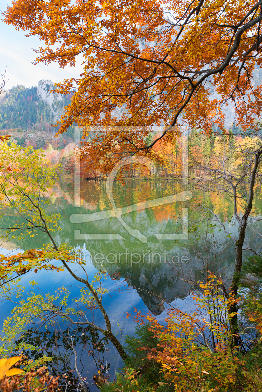 Bild-Nr.: 12751213 Farbenfroh am Laudachsee erstellt von SusaZoom