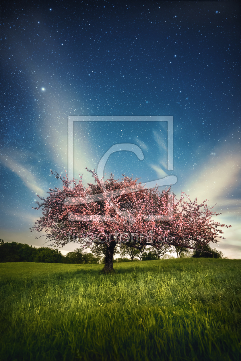 Bild-Nr.: 12751978 Blühender Baum mit Sternenhimmel erstellt von Smileus