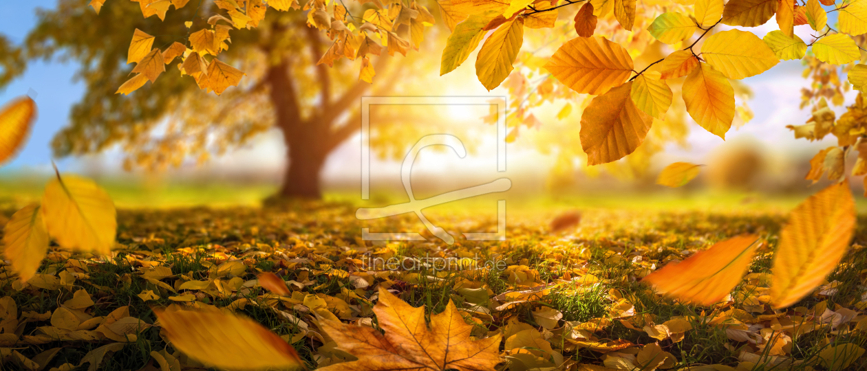 Bild-Nr.: 12756401 Herbsthintergrund mit goldenem Laub erstellt von Smileus