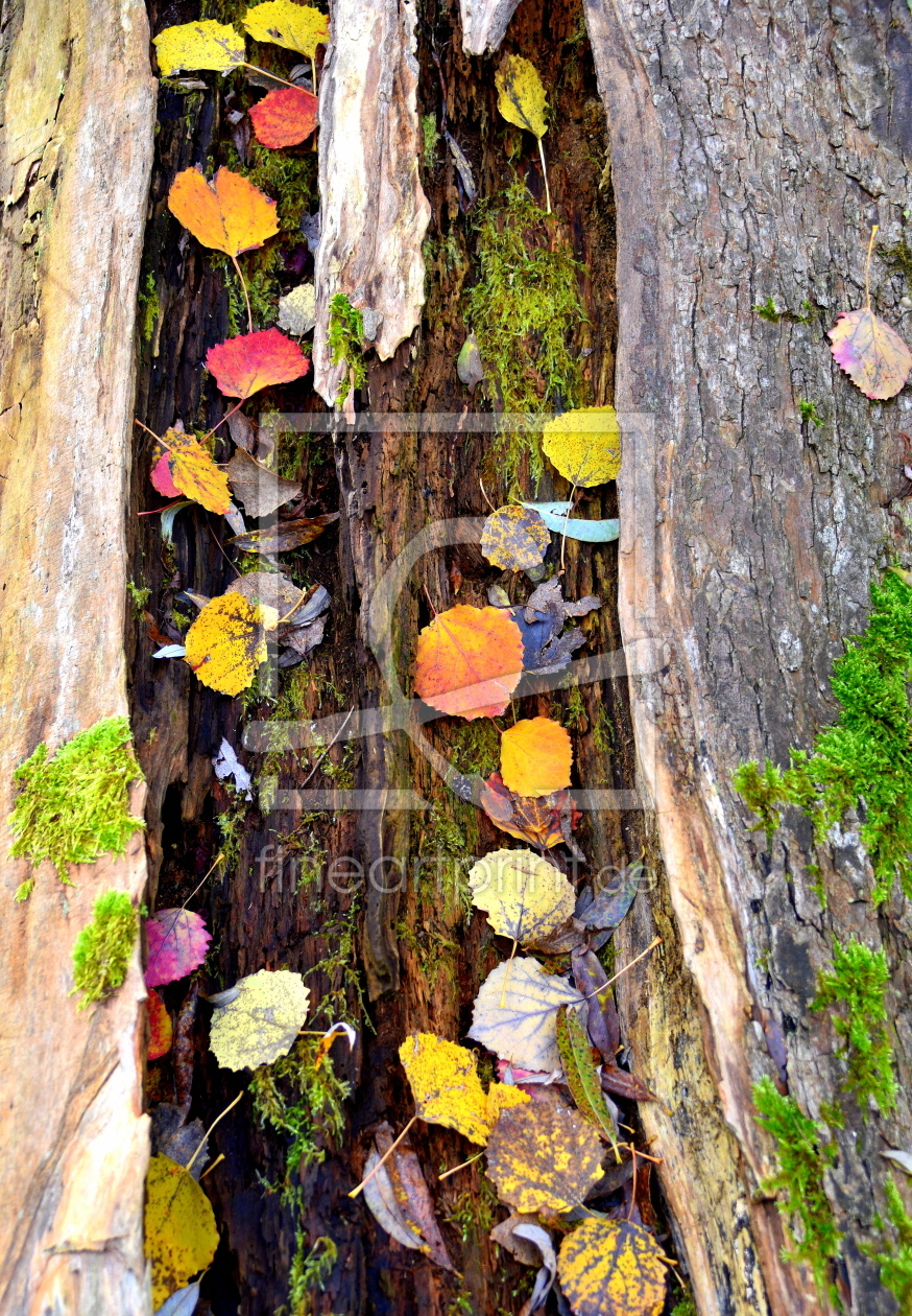Bild-Nr.: 12767248 Herbst erstellt von GUGIGEI