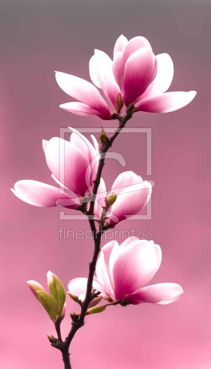 Bild-Nr.: 12803849 Magnolie KI erstellt von XYRIUS