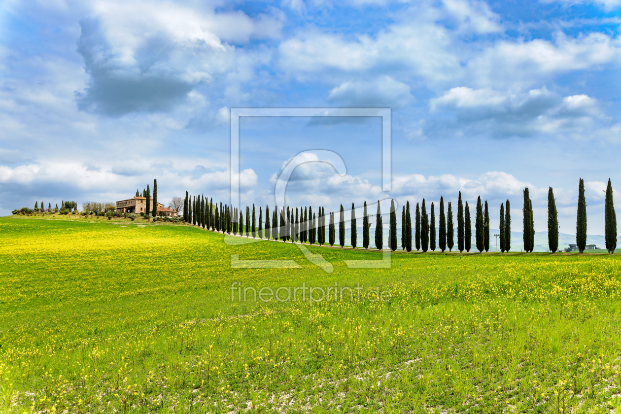 Bild-Nr.: 12803998 Fürhling in der Toskana erstellt von DirkR