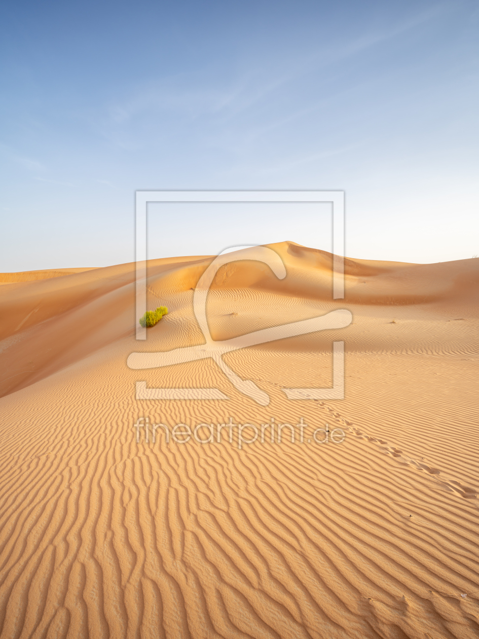 Bild-Nr.: 12811094 Sanddüne im Empty Quarter in Abu Dhabi erstellt von eyetronic