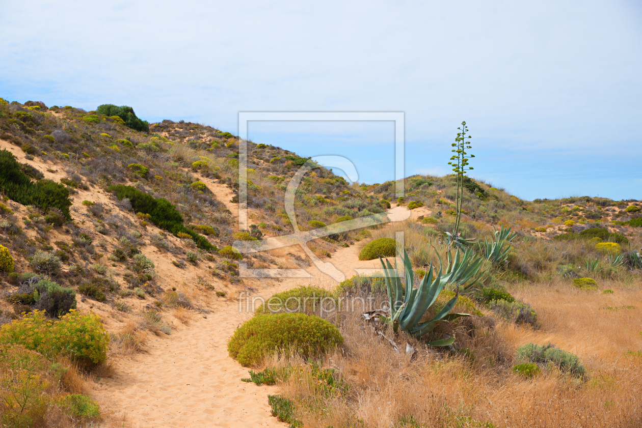 Bild-Nr.: 12813968 Dünenpfad mit Agaven erstellt von SusaZoom