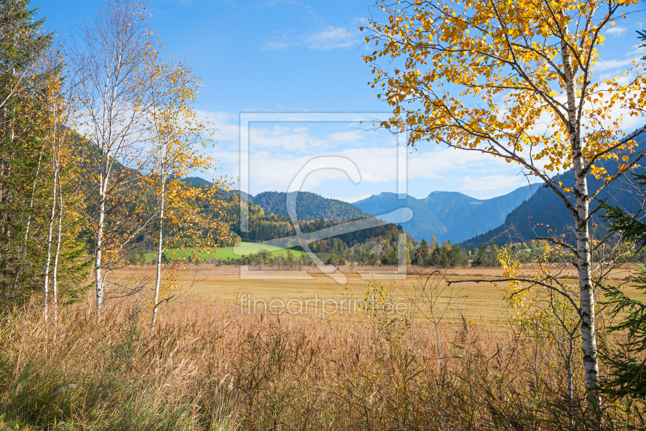 Bild-Nr.: 12816047 Ettaler Weidmoos erstellt von SusaZoom