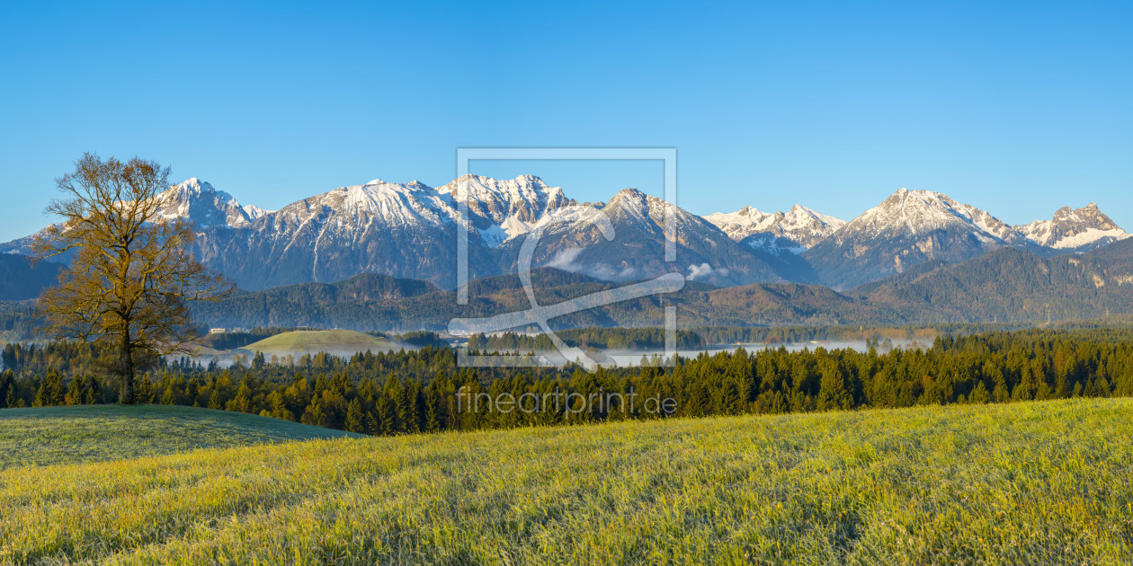 Bild-Nr.: 12816567 Morgenstimmung im Ostallgäu bei Füssen erstellt von Walter G. Allgöwer