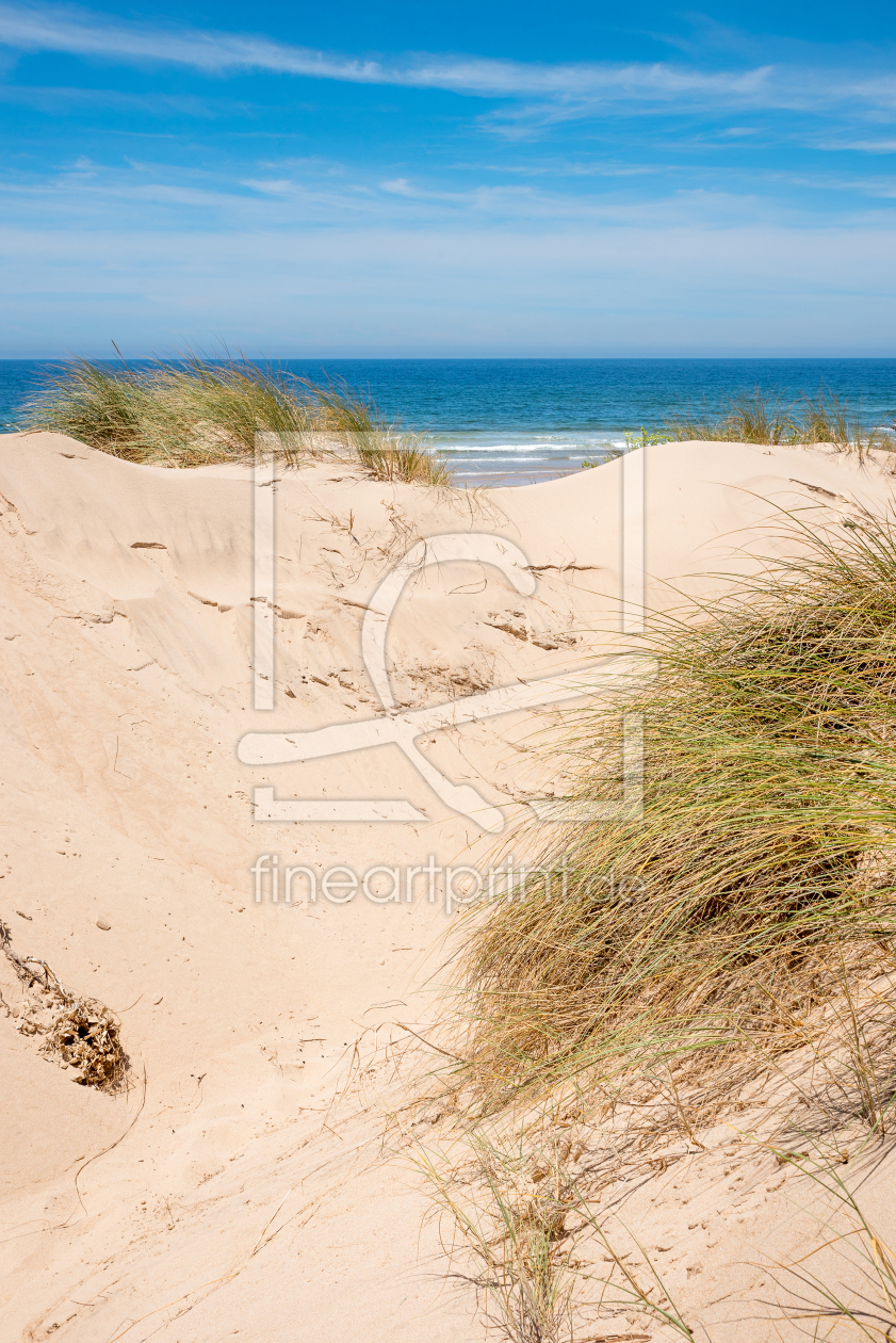 Bild-Nr.: 12827317 Dünen am Meer erstellt von SusaZoom