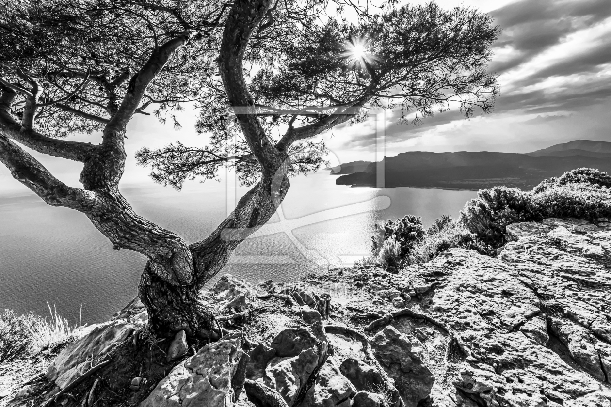 Bild-Nr.: 12829305 Corniche des Cretes an der Cote d Azur - monochrom erstellt von dieterich