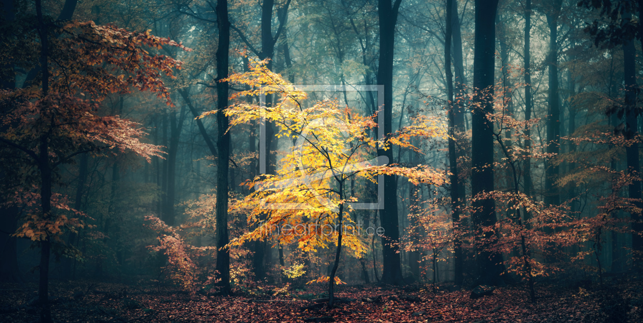Bild-Nr.: 12842068 Kleiner Baum mit gelben Blättern erstellt von Smileus