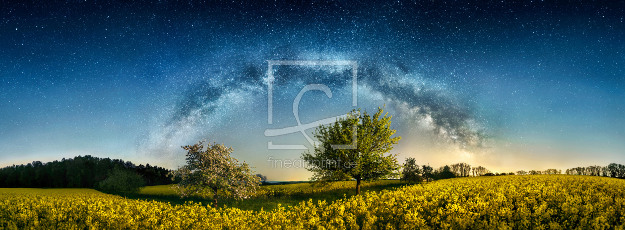 Bild-Nr.: 12844259 Nachtlandschaft mit Bäumen und der Milchstraße erstellt von Smileus