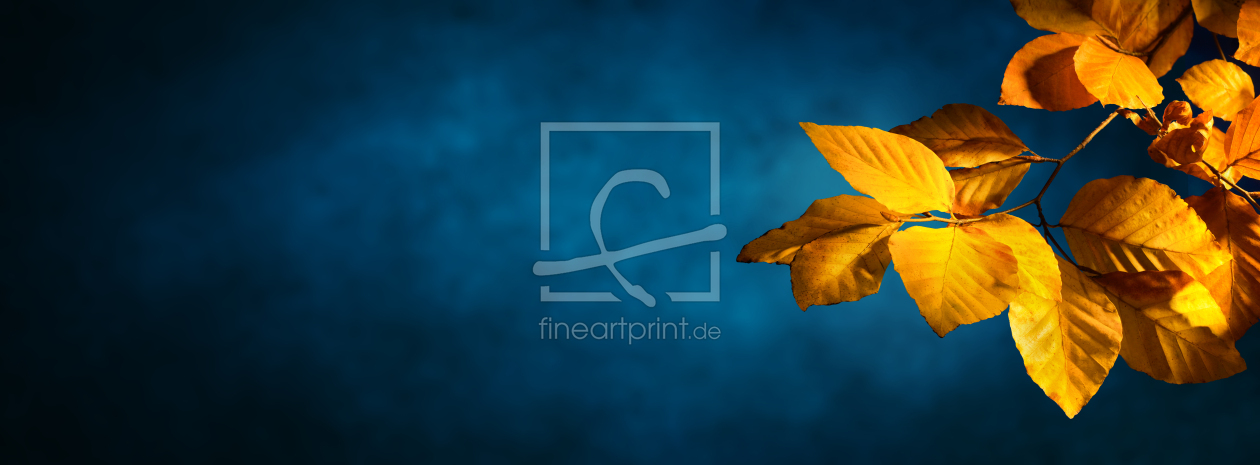 Bild-Nr.: 12844388 Herbstliche Buchenblätter auf blauem Hintergrund erstellt von Smileus