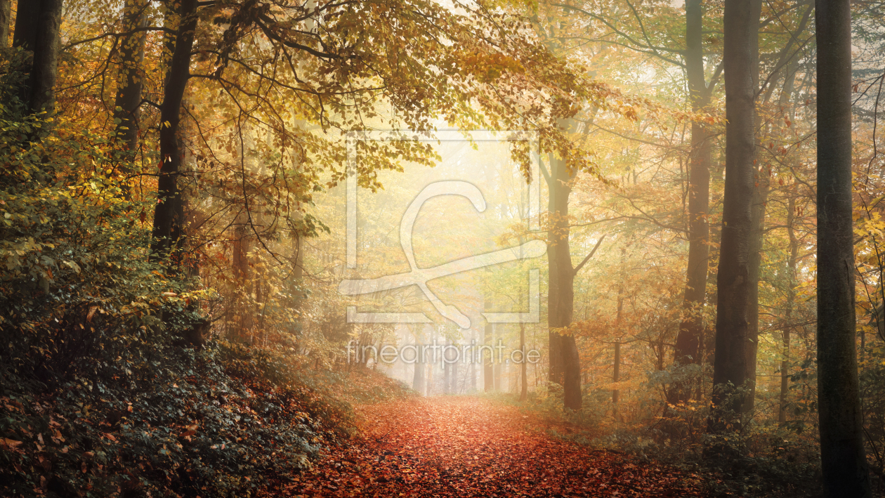 Bild-Nr.: 12845380 Ruhige Herbstlandschaft in einem nebligen Wald erstellt von Smileus