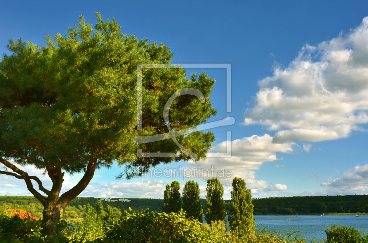 Bild-Nr.: 12847158 Sommer an der Havel erstellt von Atteloi