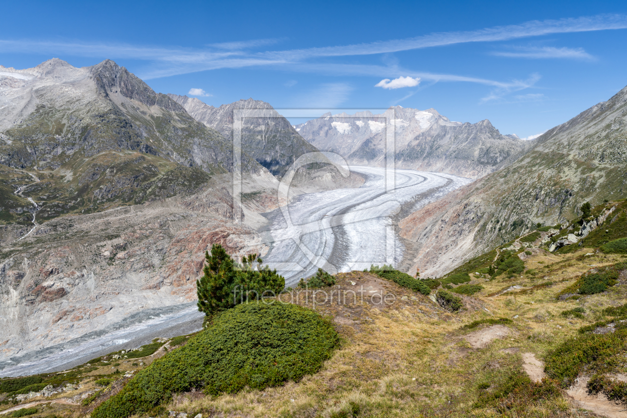 Bild-Nr.: 12848871 Aletschgletscher im Sommer erstellt von eyetronic