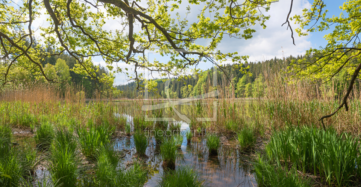 Bild-Nr.: 12848914 Frühling am Weiher erstellt von SusaZoom
