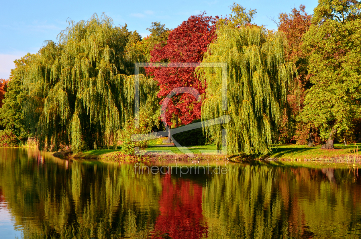 Bild-Nr.: 12850302 Herbst im Park erstellt von Atteloi