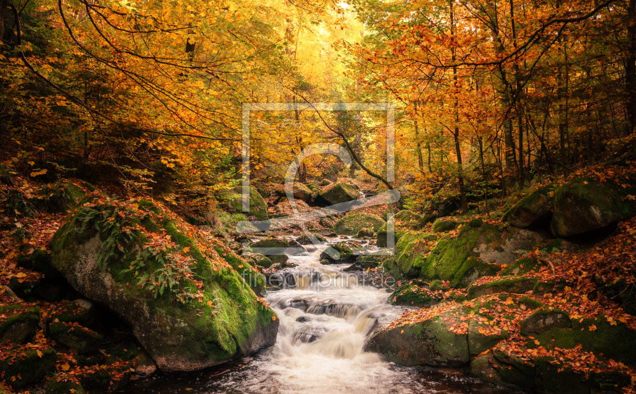 Bild-Nr.: 12850735 Der Herbst ist im Ilsetal erstellt von Steffen Henze