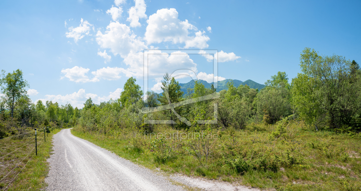 Bild-Nr.: 12851263 Wanderweg Isarauen erstellt von SusaZoom