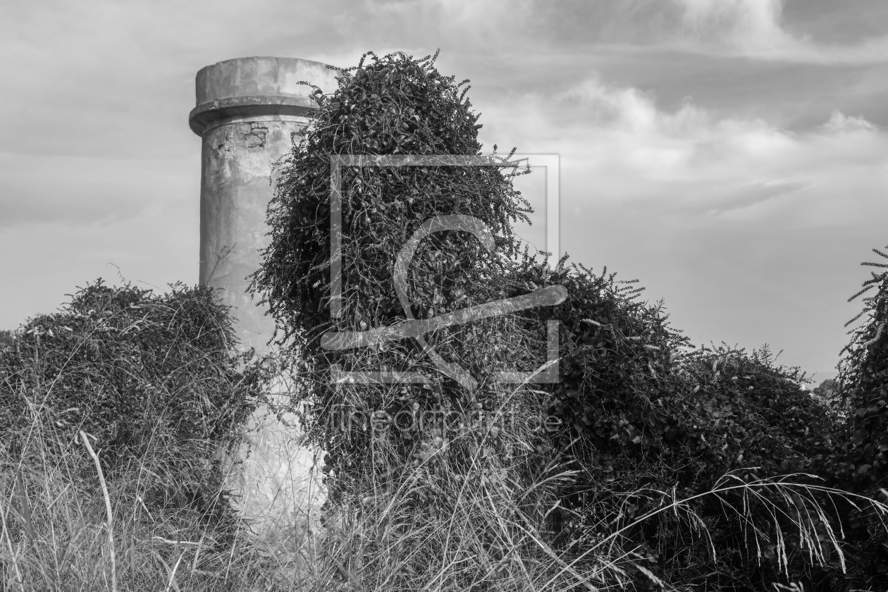 Bild-Nr.: 12852609 aufgegebener Steinturm einer Windmühle erstellt von volker heide