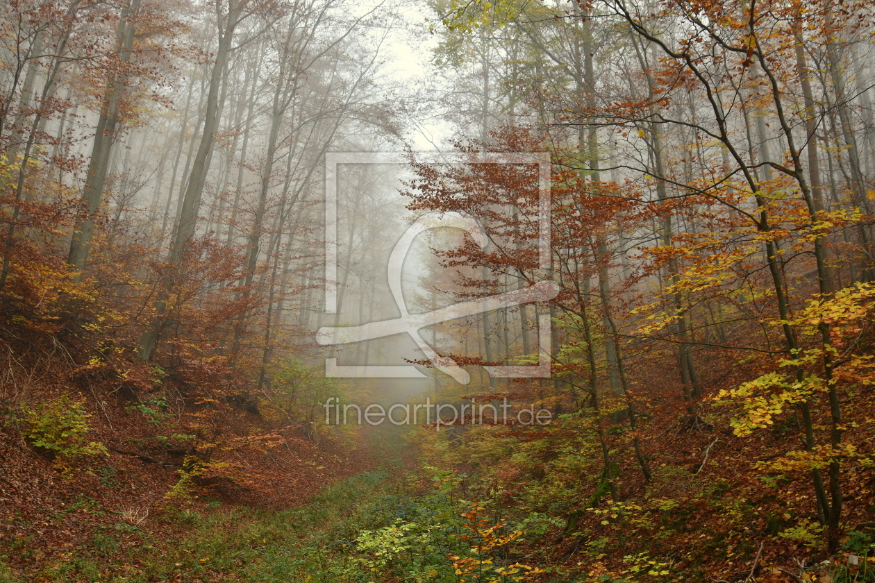 Bild-Nr.: 12854494 Nebelwald erstellt von GUGIGEI