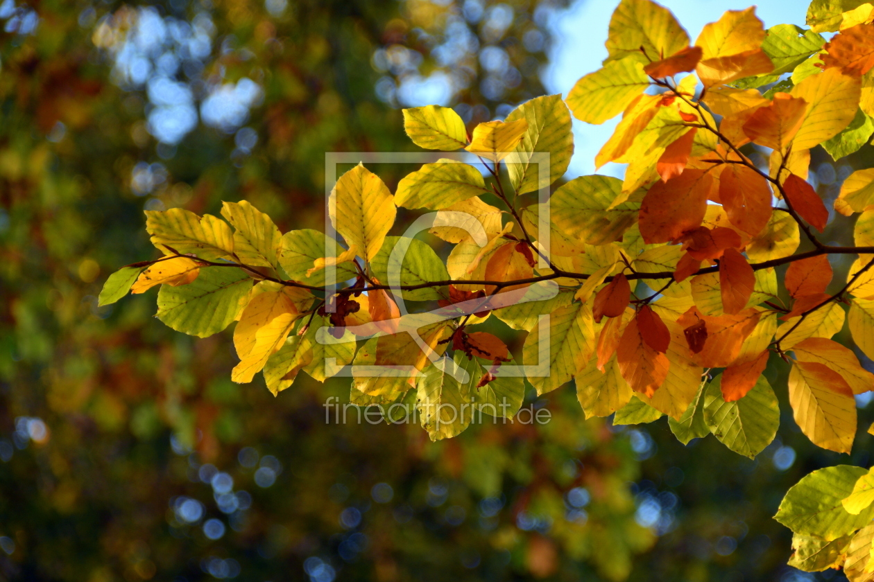 Bild-Nr.: 12856857 Herbst erstellt von GUGIGEI