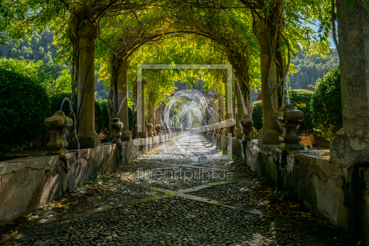 Bild-Nr.: 12862245 Wassersile im botanischen Garten auf Mallorca erstellt von volker heide