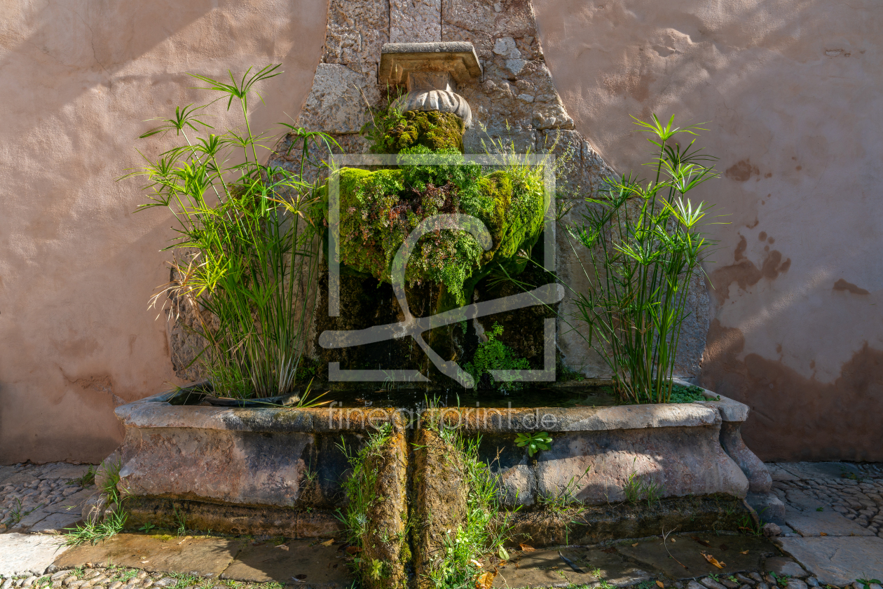 Bild-Nr.: 12862250 Überwucherter Springbrunnen auf Mallorca erstellt von volker heide