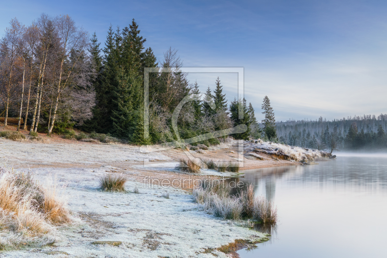 Bild-Nr.: 12864336 Frostiger Morgen am Oderteich erstellt von Daniela Beyer