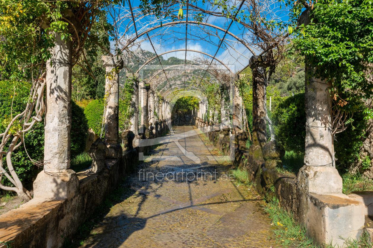 Bild-Nr.: 12870972 wunderschöne Pergola auf Mallorca erstellt von volker heide